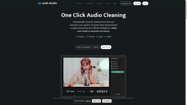 Capture d'écran de la page du site de Audo Studio