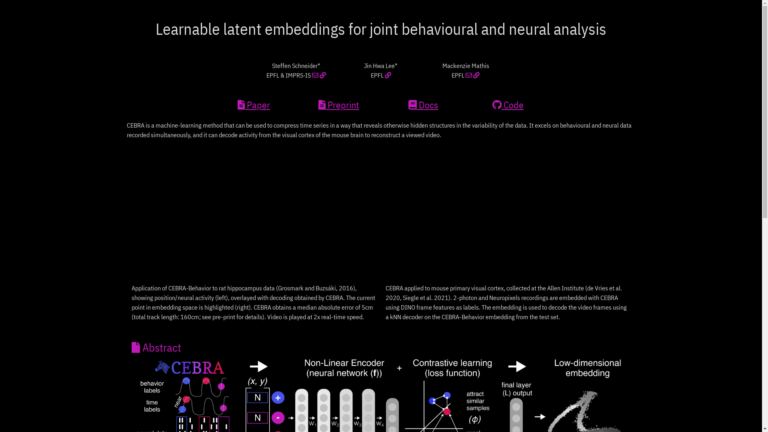 Capture d'écran de la page du site de Cebra
