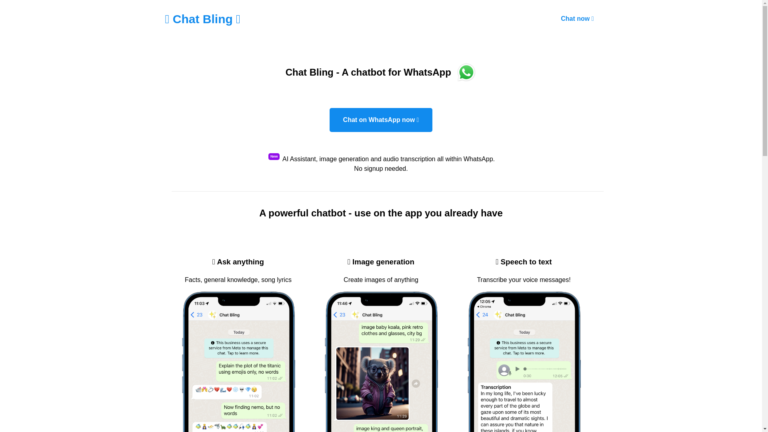 Capture d'écran de la page du site de Chat Bling