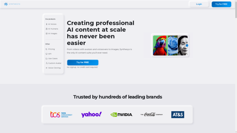 Capture d'écran de la page du site de Synthesys Studio