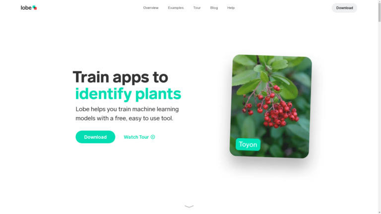 Capture d'écran de la page du site de Lobe
