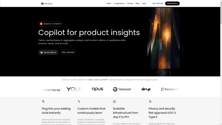 Capture d'écran de la page du site de Monterey AI