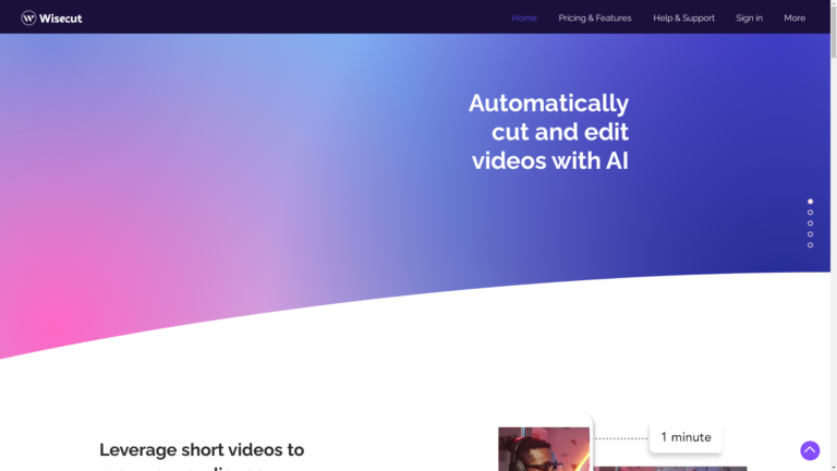 Capture d'écran de la page du site de Wisecut