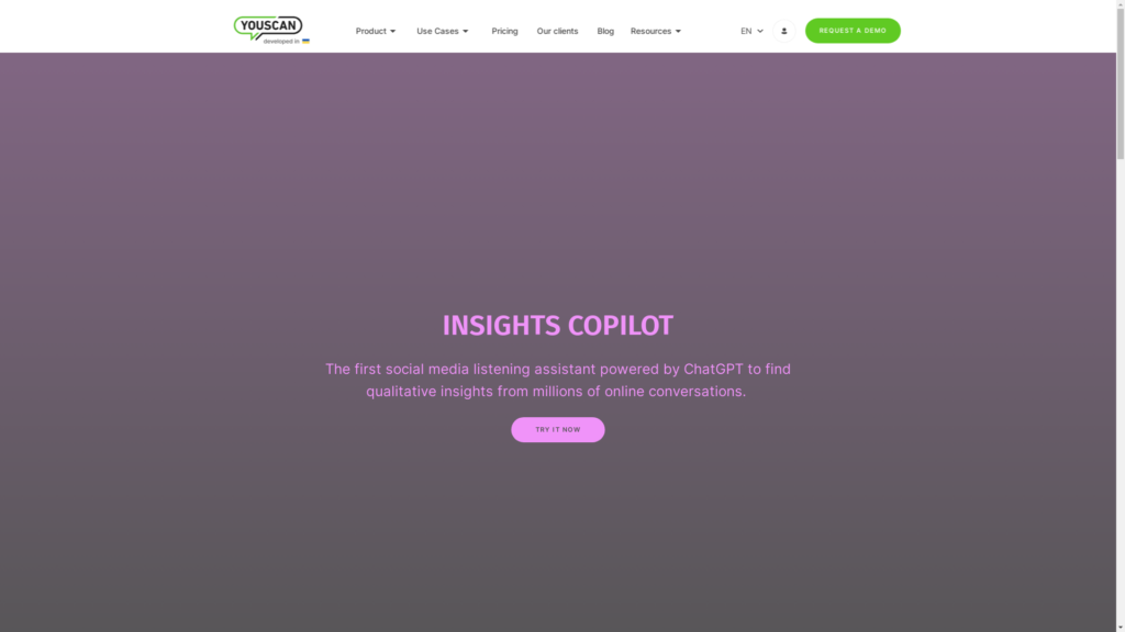 Capture d'écran de la page du site de Insights Copilot