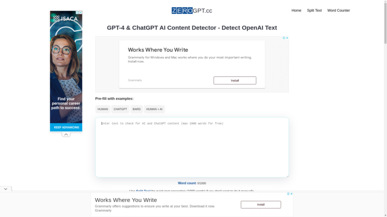 Capture d'écran de la page du site de ZeroGPT